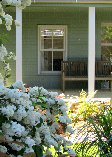 Linden Garden